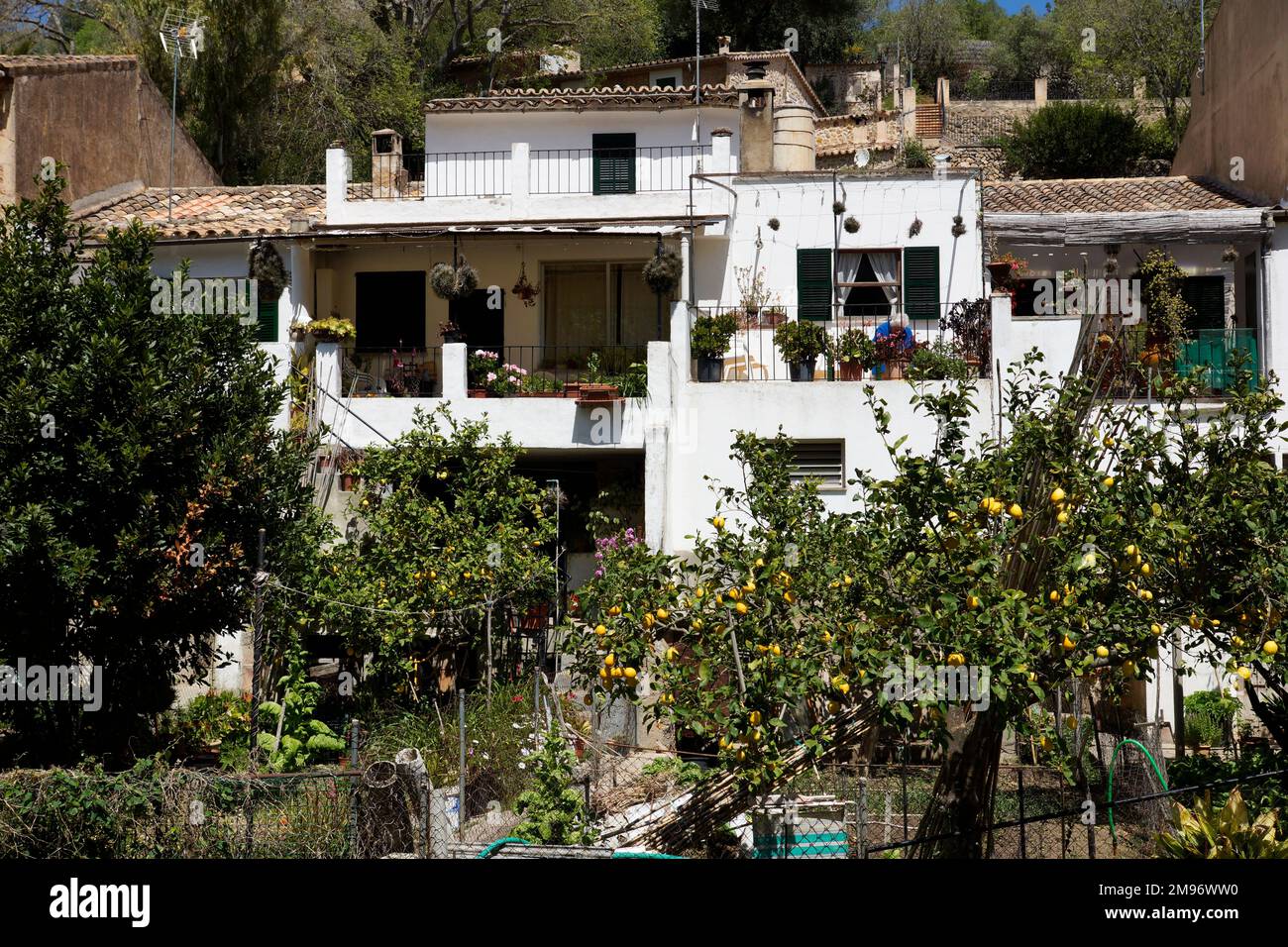 Mallorca, Spanien, Valldemossa. Sie repräsentieren typische Häuser von hinten, die ihre Gärten einfangen. Stockfoto