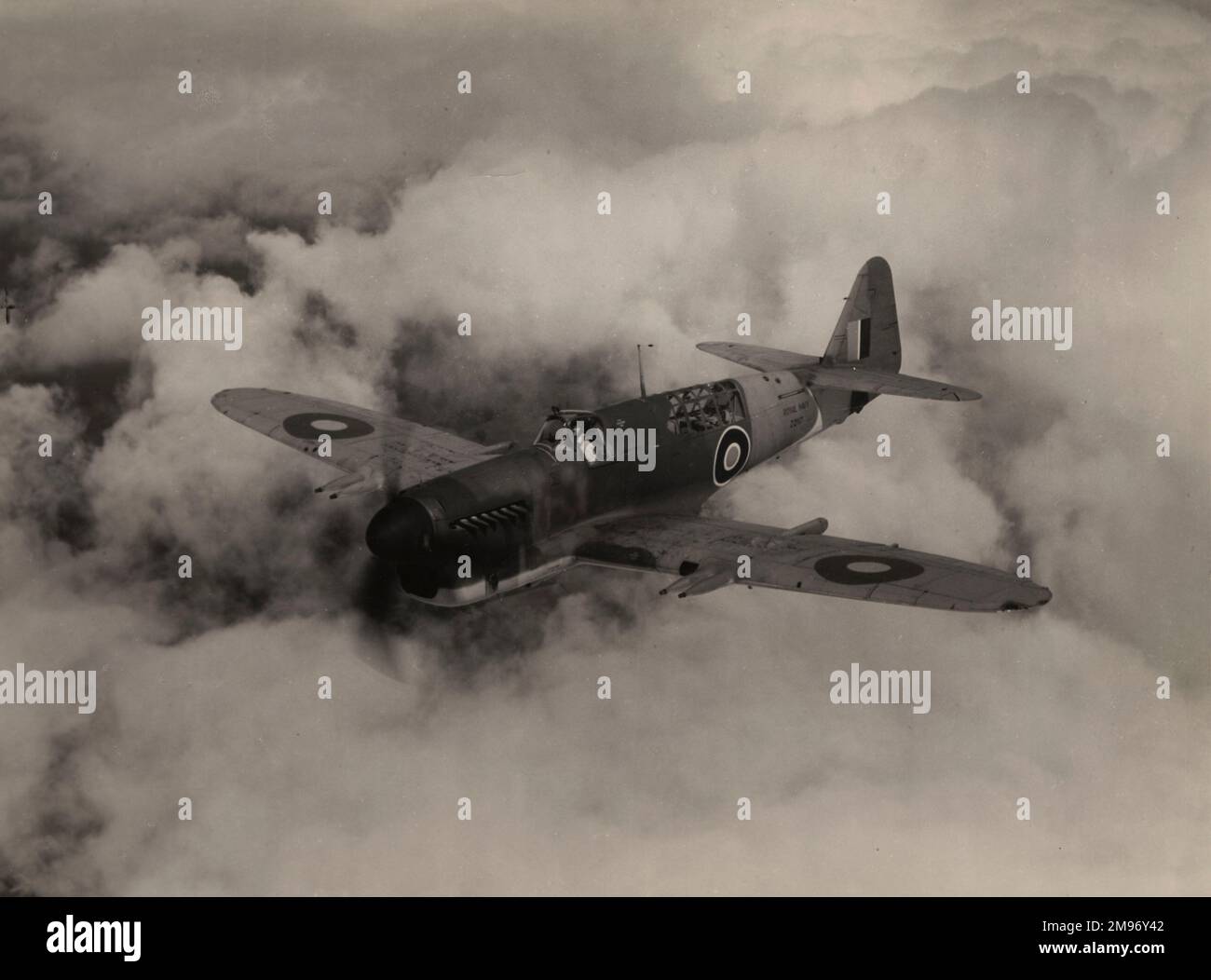 Fairey Firefly 1, Z2117. Stockfoto