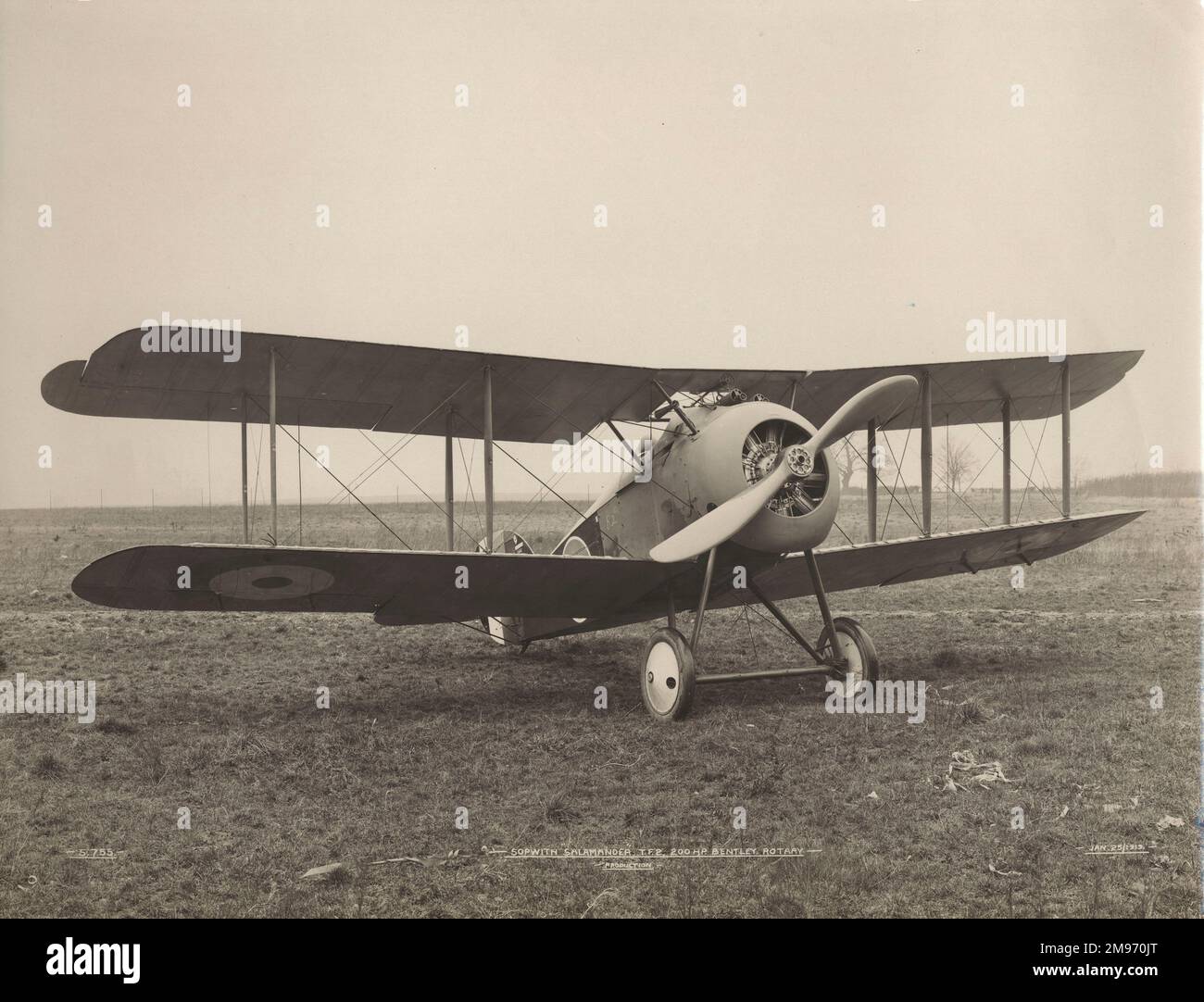 Sopwith TF2 Salamander Produktionsversion mit Horn ausgewuchteten oberen Aailerons und vergrößerter Flosse und vergrößertem Ruder. Stockfoto