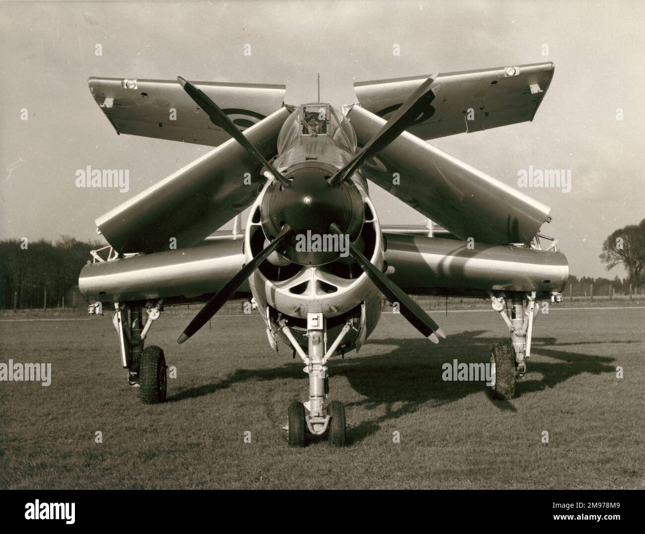 Fairey Gannet AS1 mit gefalteten Flügeln. Stockfoto