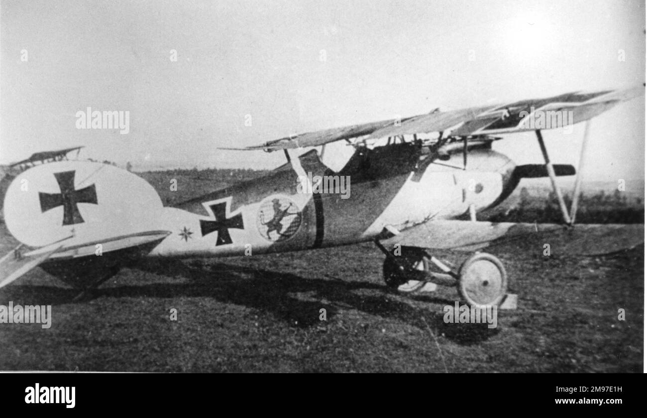 Albatros D V Deutsches Kampfflugzeug, erstmals Anfang 1917 hergestellt. Diese Maschine trägt das Motiv des bayerischen Löwen von Oberleutnant Eduard Ritter von Schleich (1888-1947), mit dem Spitznamen Schwarzer Ritter, Kommandeur von Jasta 21. Stockfoto