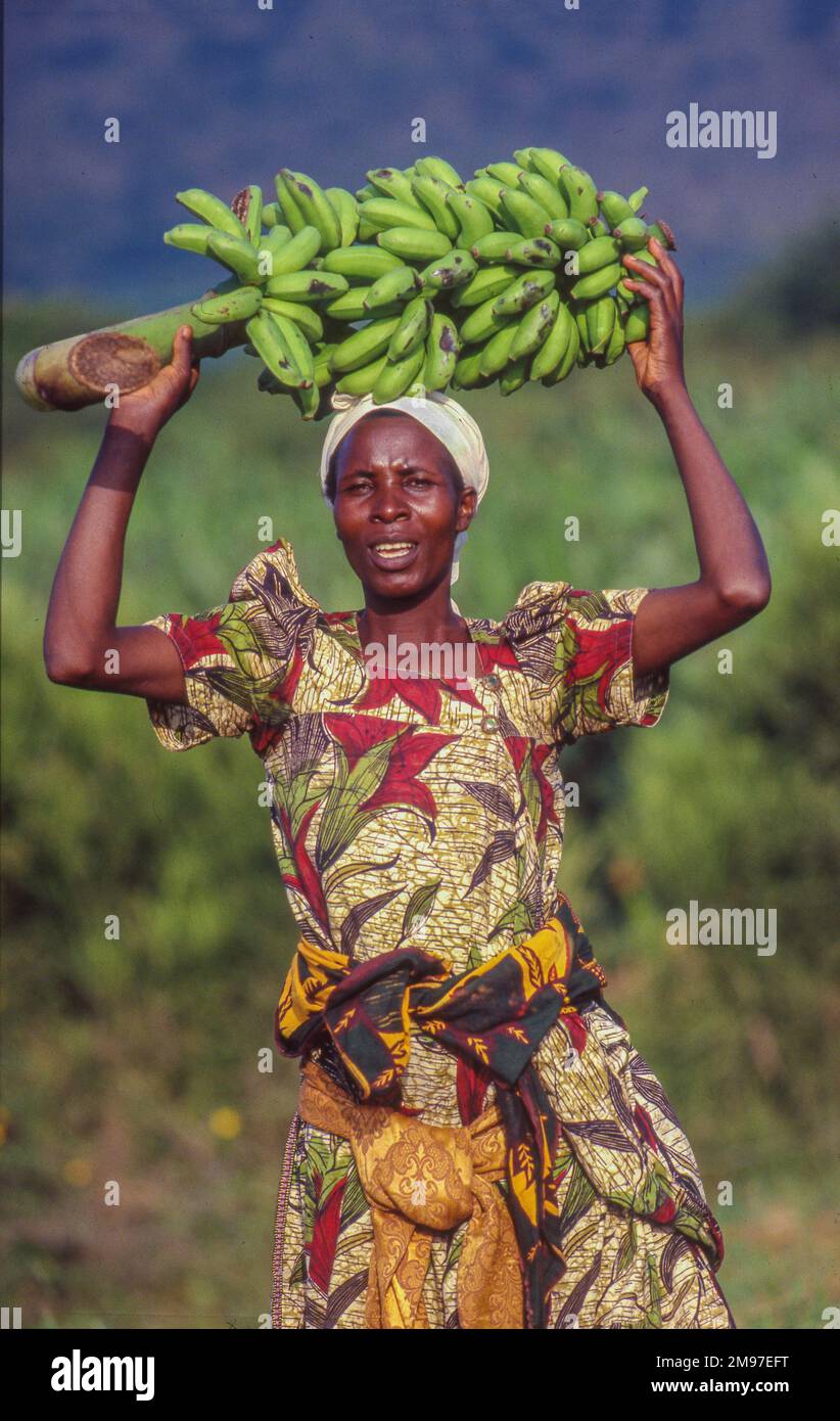 Uganda, Kampala; Porträt einer Frau, die einen Bananenhaufen auf dem Kopf trägt. Stockfoto