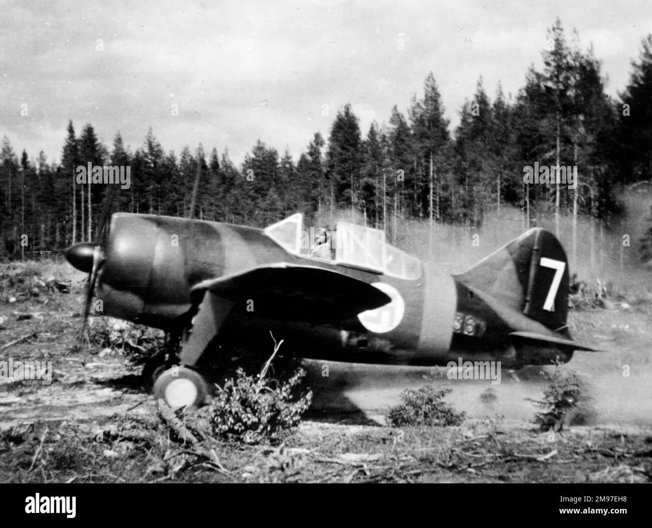 Brewster F2A Buffalo – im Gegensatz zu anderen Buffalo-Nutzern erlebten die Finnen einen (seitlichen) Erfolg gegen ihre sowjetischen Eindringlinge. Stockfoto