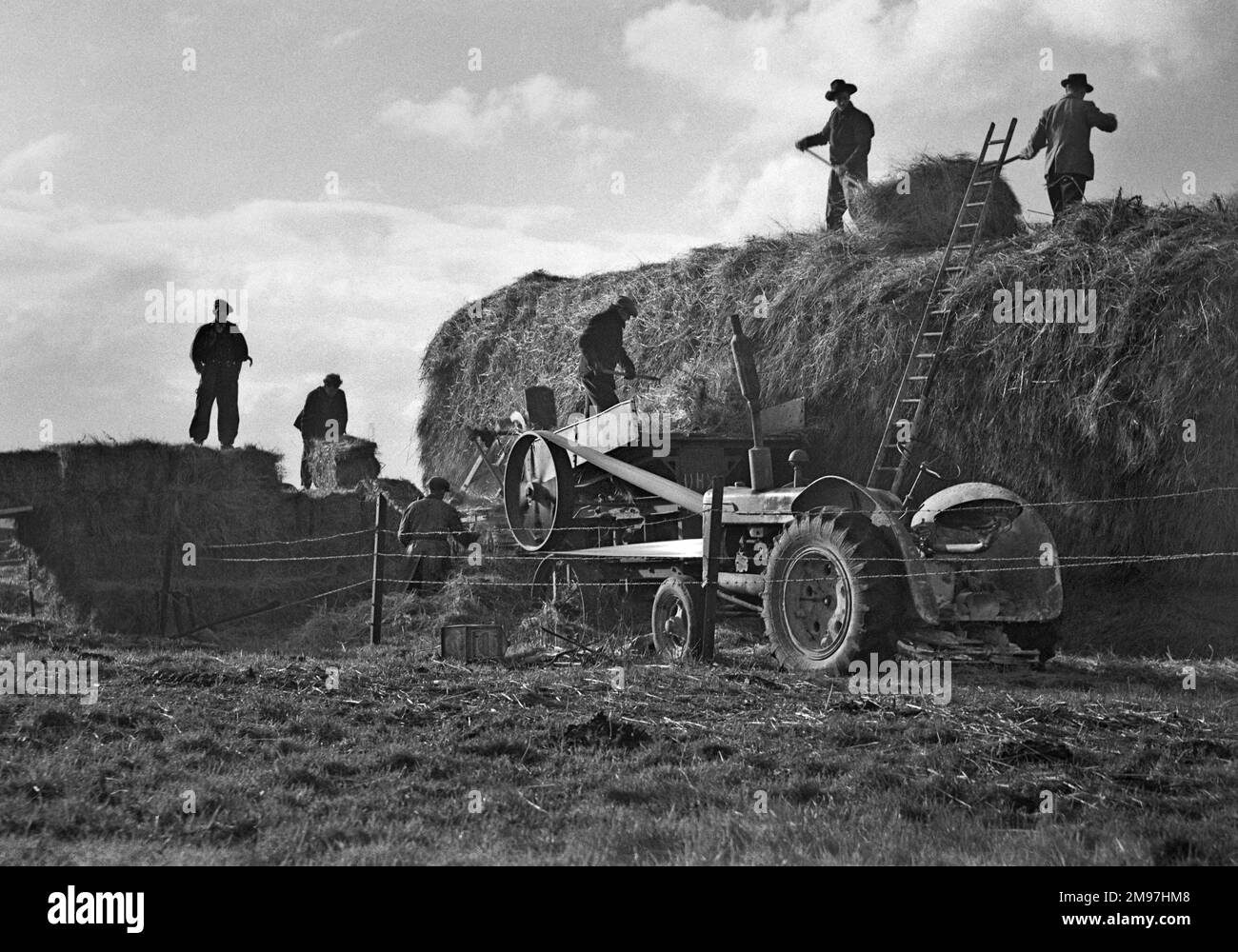 Leute machen Heuschrecken auf einem Feld. Stockfoto