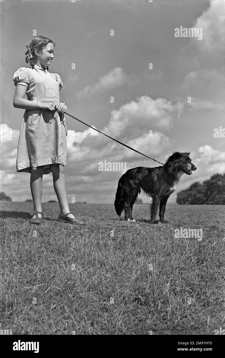 Ein Mädchen auf einem Feld mit einem Hund in Führung. Stockfoto