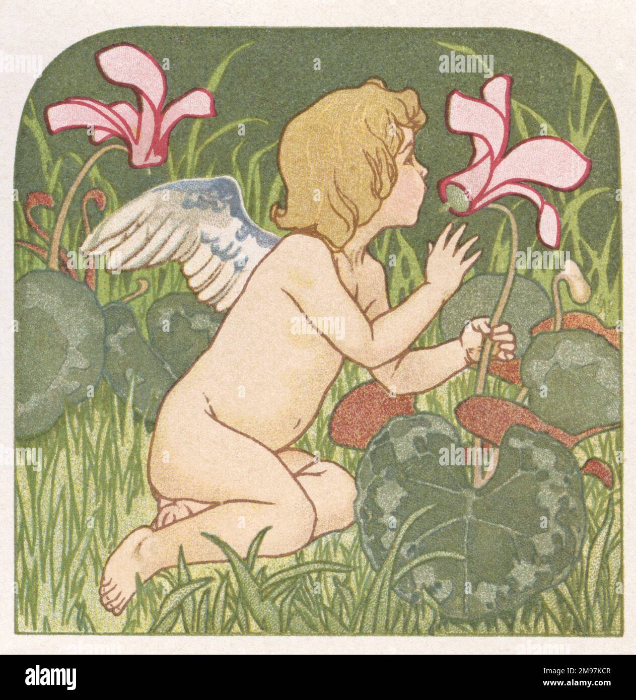 Amor läutet Fuchshandschuhglocken im Garten. Stockfoto