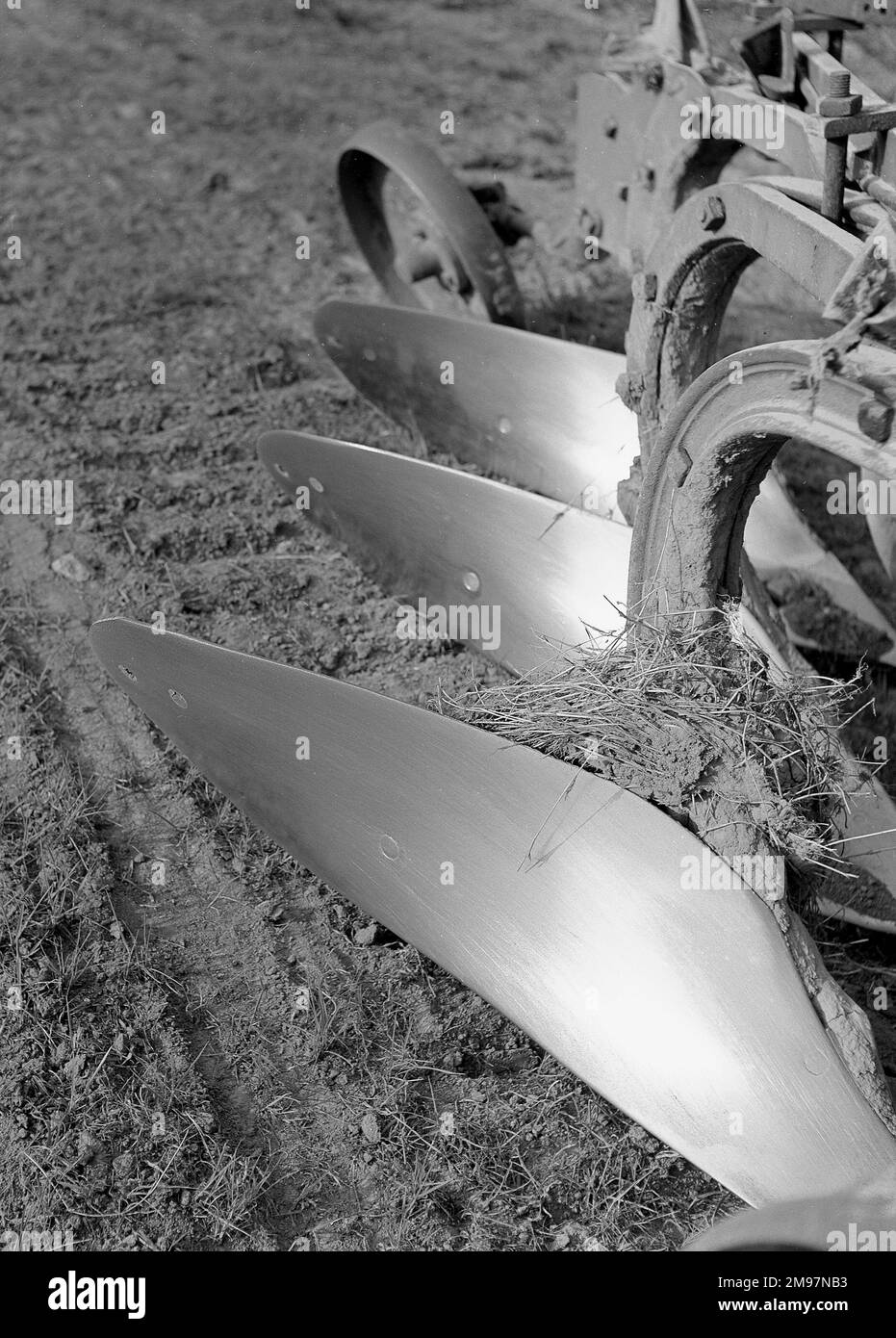 Sonne auf Stahl. Alte Pflugmesser, die in die Sonne scheinen. Stockfoto