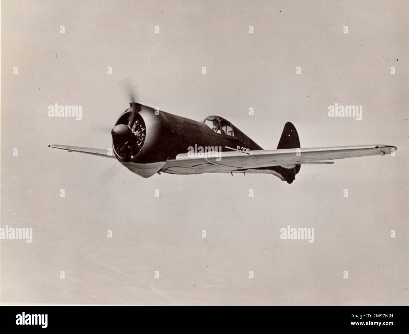 Curtiss CW-21B Dämon. Stockfoto