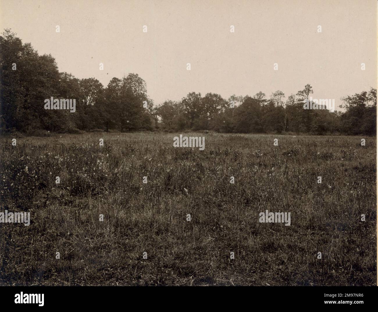 Hardingham Airship Station, 14. August 1918. Stockfoto