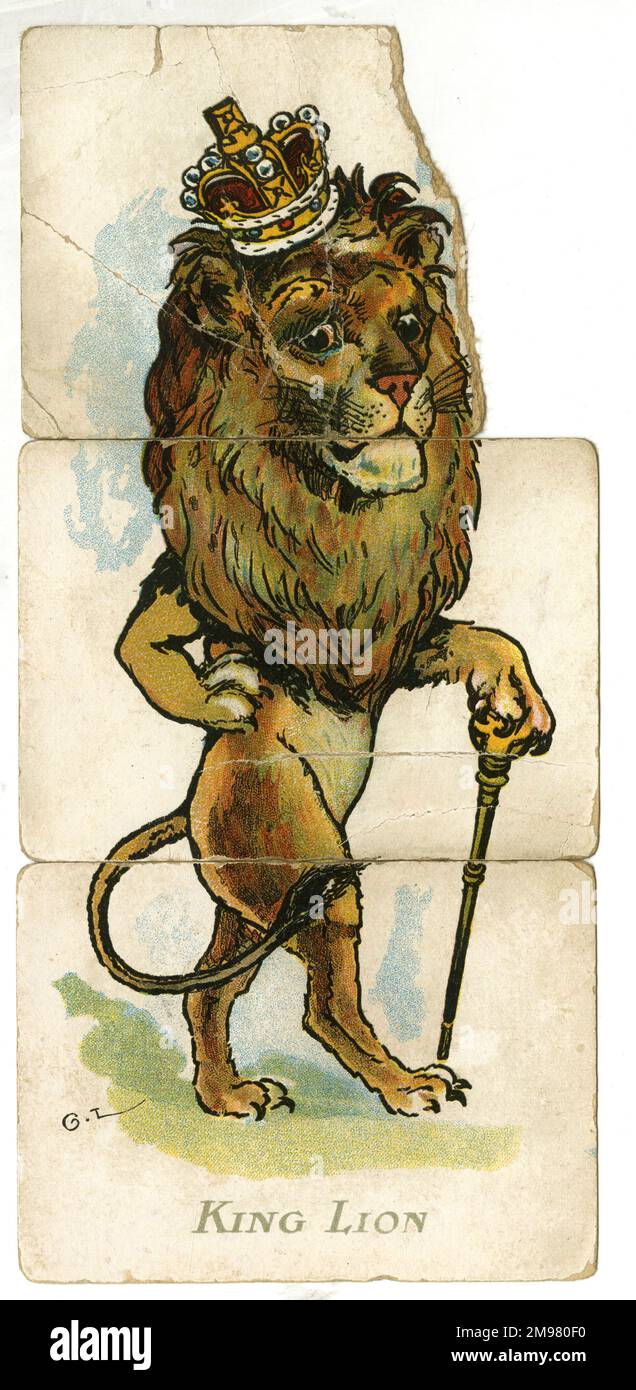 Misfitz - König Löwe. Stockfoto