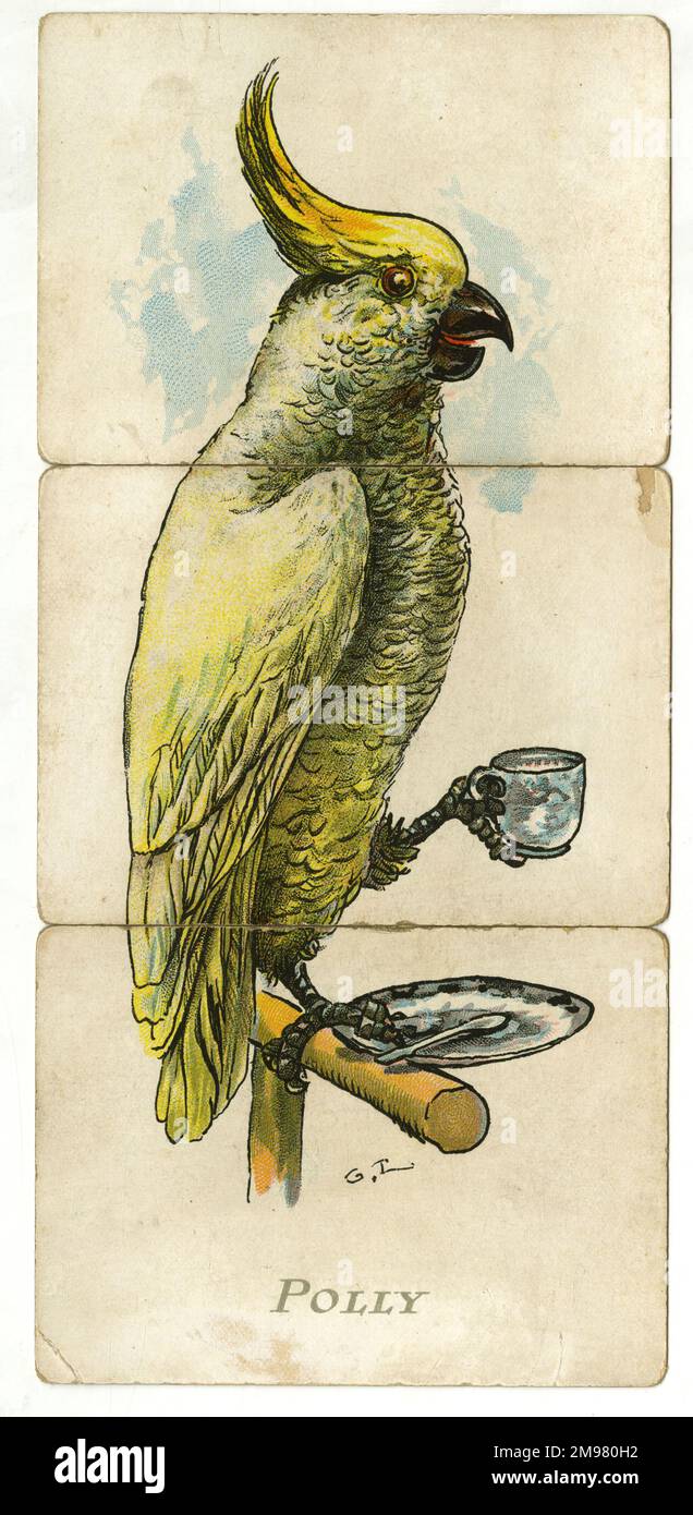 Misfitz - Polly. Stockfoto