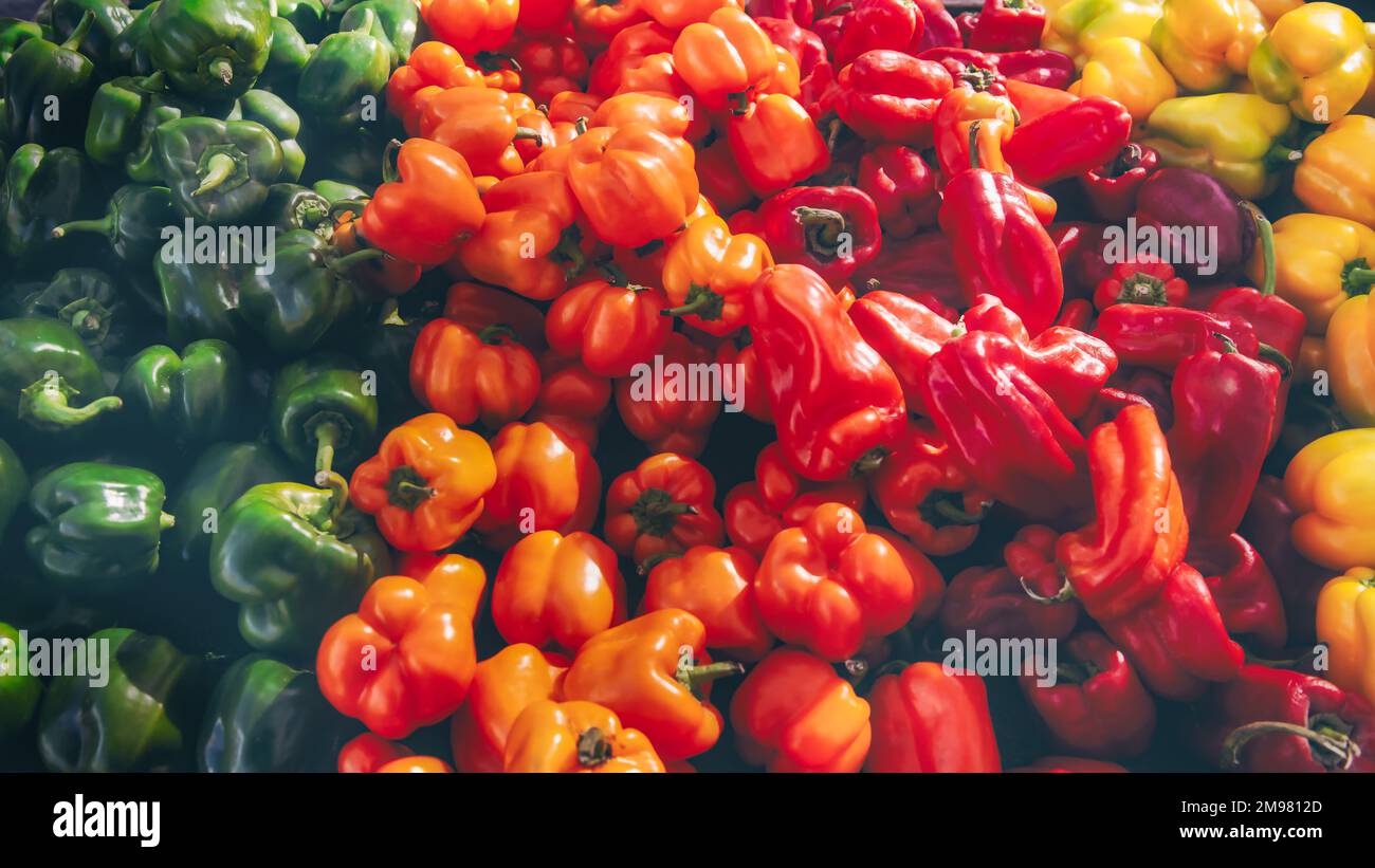 Vollformat-Nahaufnahme von roten, orangefarbenen, gelben und grünen Paprika auf einem Markt Stockfoto