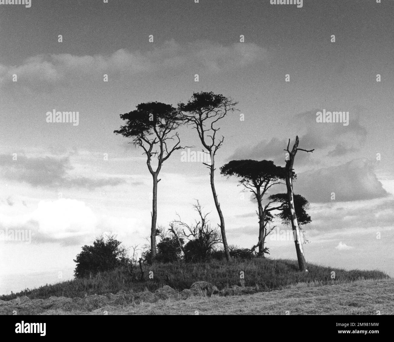 Dramatische Skyline in der Nähe von Ripon, Yorkshire, England. Stockfoto