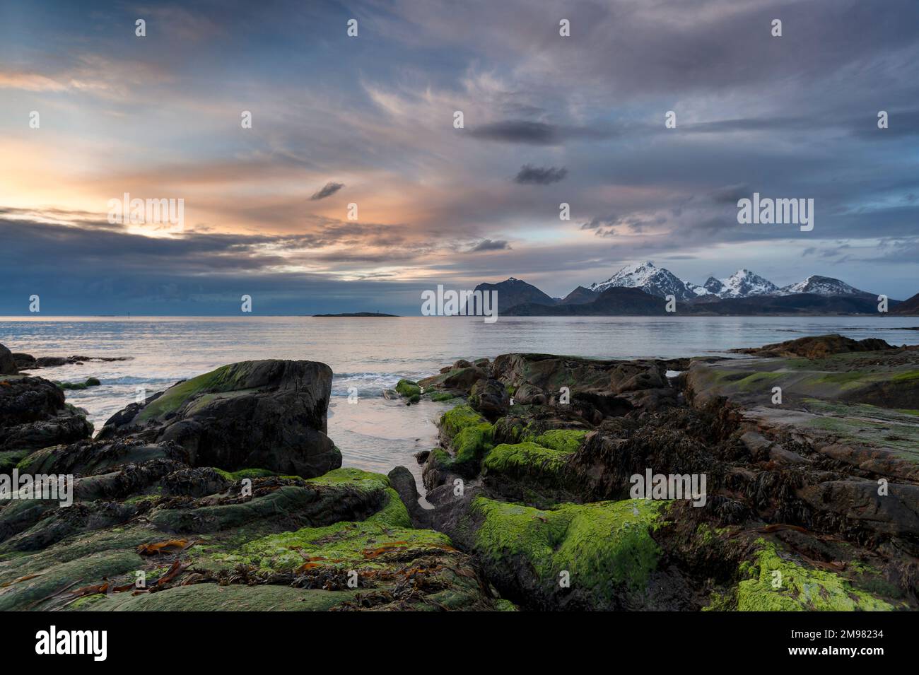 Moosbedeckte Felsen an der Küste am Strand im Frühling, Lofoten, Nordland, Norwegen Stockfoto