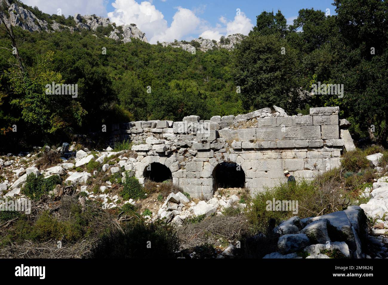 Türkei, Nordwesten von Antalya, Termessos: Teil der Kolonnadenstraße Stockfoto