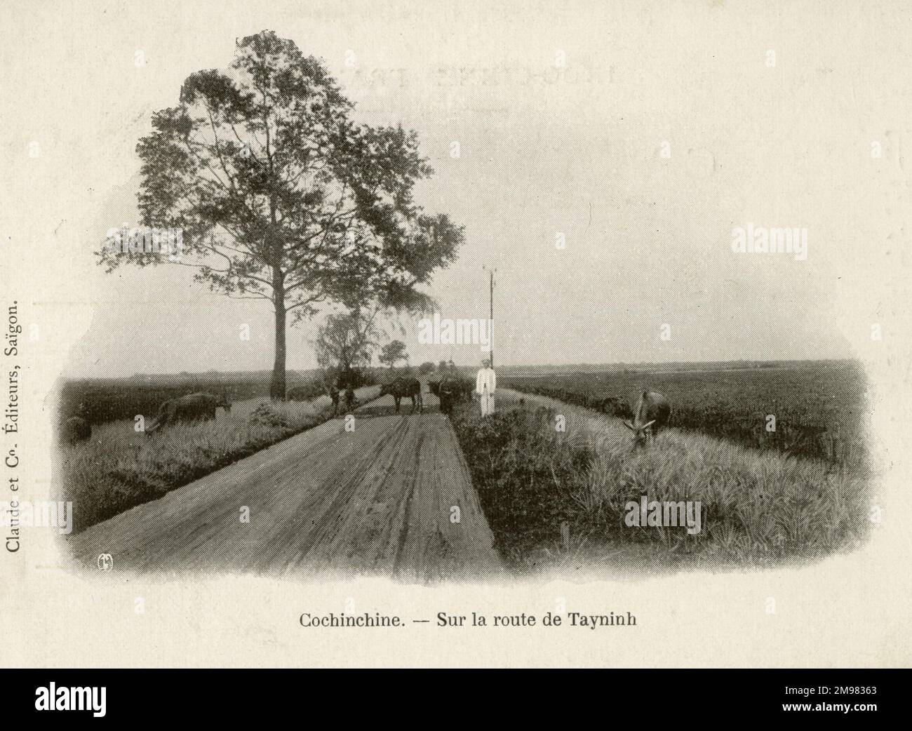 COCHINCHIN / Cochinchina umfasst das südliche Drittel Vietnams. Es war eine französische Kolonie von 1862 bis 1954. Auf dem Weg nach Tay Ninh. Stockfoto