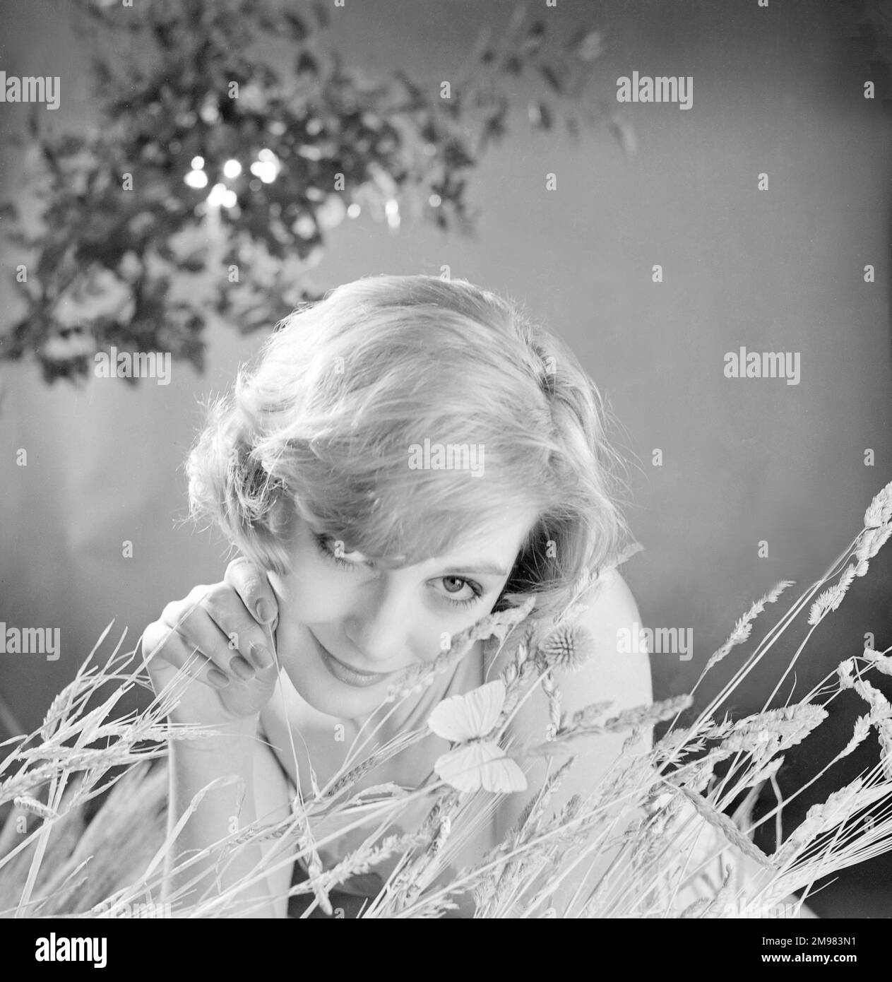 Werbung für Nivea Shampoo -- weibliches Model (Sandra Paul), das im Gras posiert. Stockfoto
