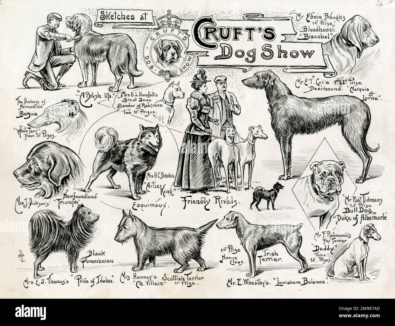 Cruft's Dog Show -- Skizzen von Gewinnerhunden und ihren Besitzern. Stockfoto