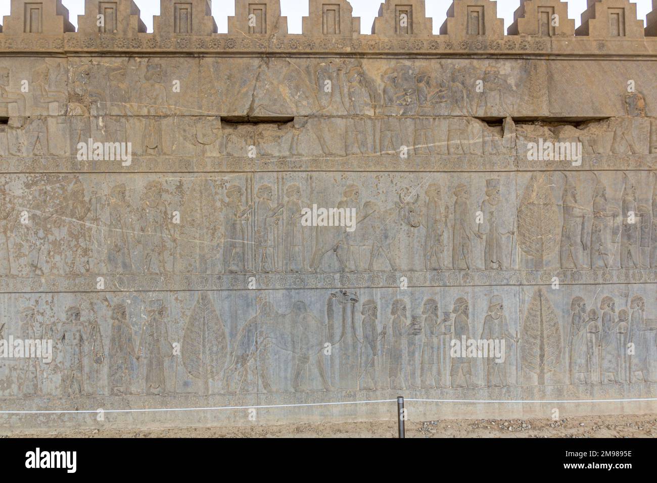 Bas Reliefs im Apadana Palast in der antiken Persepolis, Iran Stockfoto