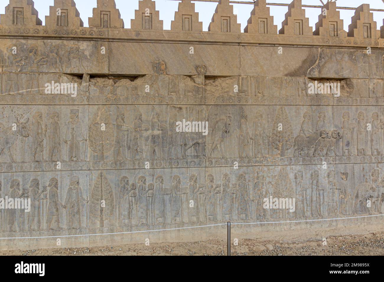 Bas Reliefs im Apadana Palast in der antiken Persepolis, Iran Stockfoto