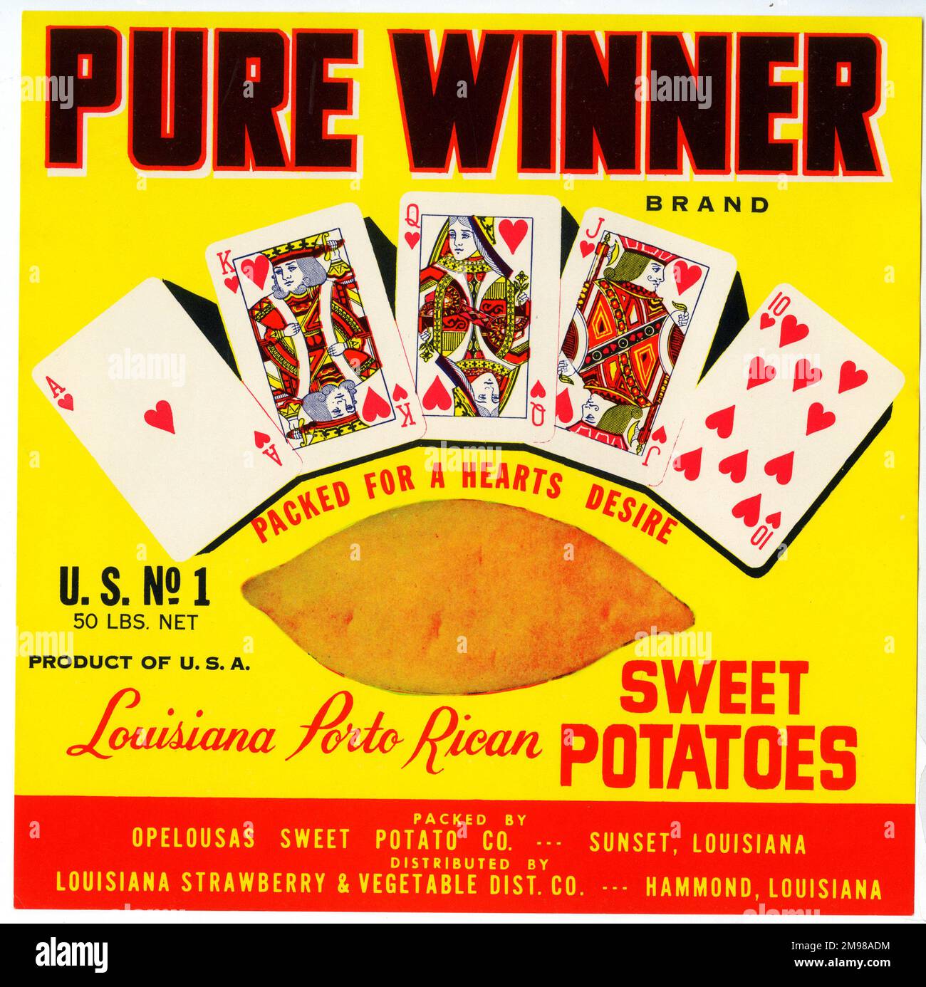 Etikettendesign, Pure Winner Louisiana Porto Rican Sweet Potatoes. Stockfoto