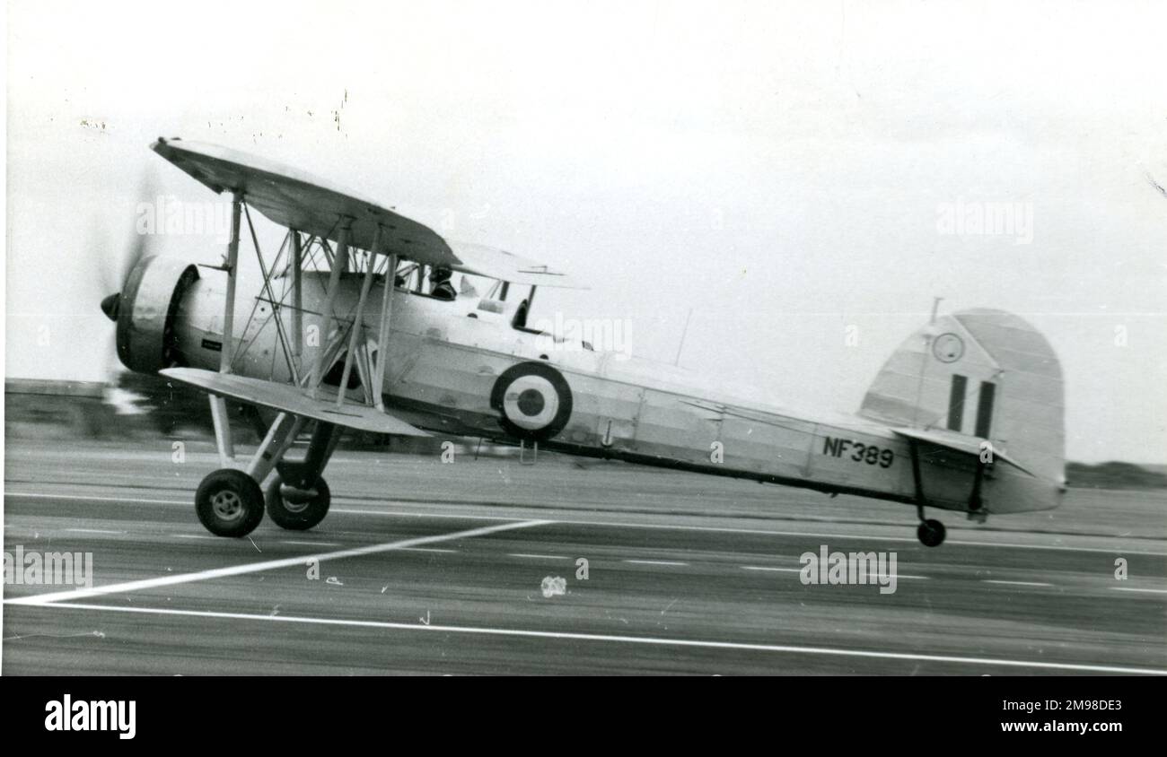 Fairey Swordfish III, NF389. Stockfoto