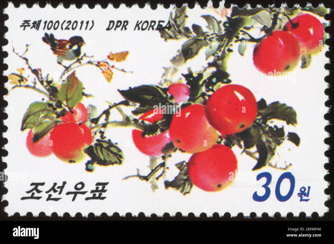 2011 Nordkorea-Stempel. 50. Jahrestag der erweiterten Tagung des Präsidiums des WPK-Zentralkomitees in Pukchong Stockfoto