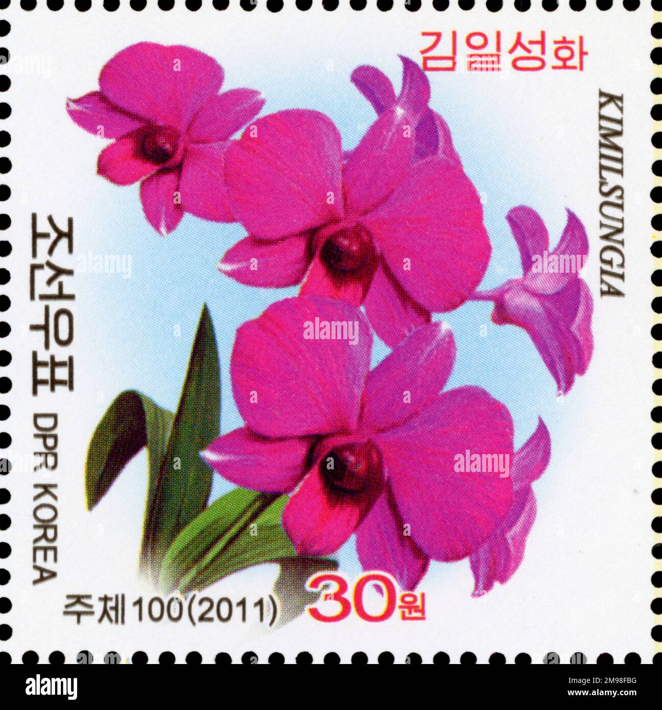2011 nordkoreanische Briefmarke mit der Kimilsungia-Orchidee zum 99. Geburtstag von Kim Il Sung. Stockfoto