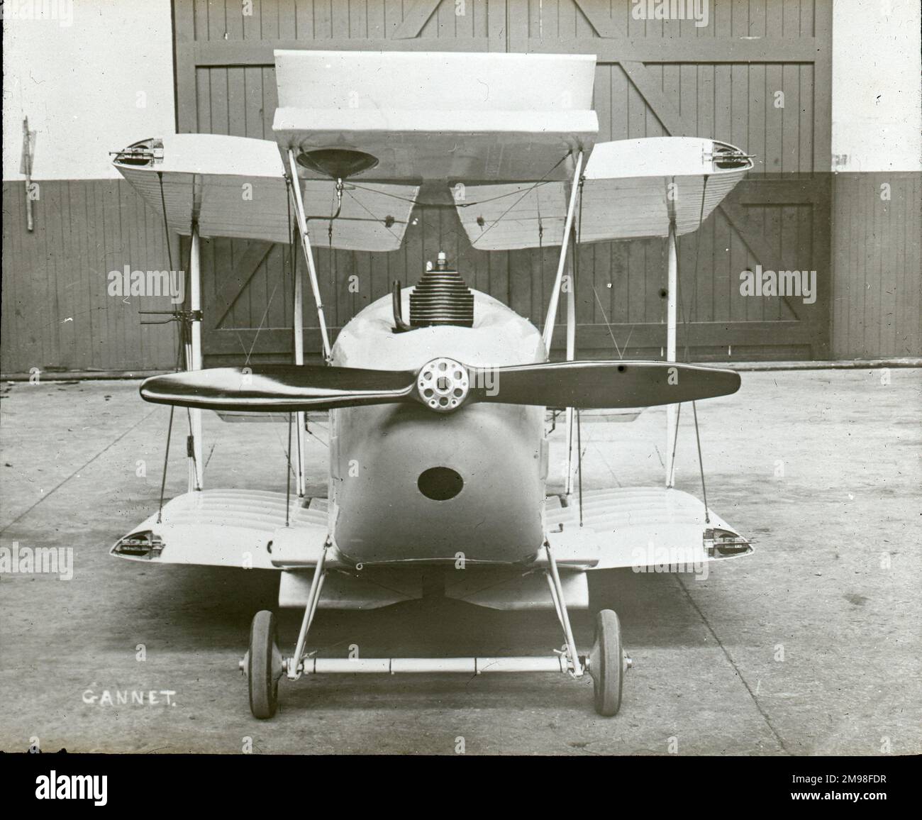 Gloster Gannet, G-EBHU, mit nach hinten geklappten Flügeln. Stockfoto