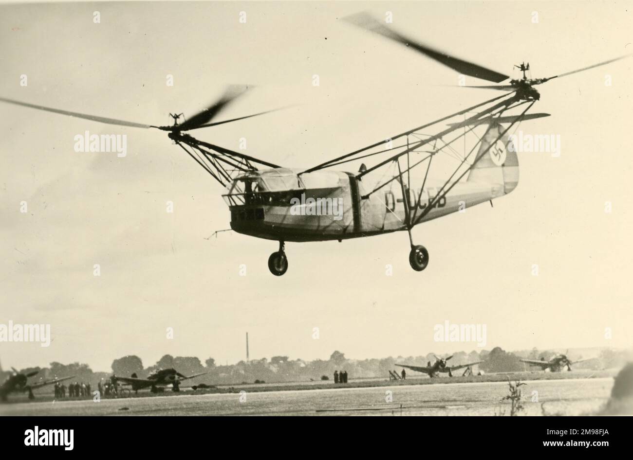 Focke achgelis Fotos und Bildmaterial in hoher Auflösung Alamy