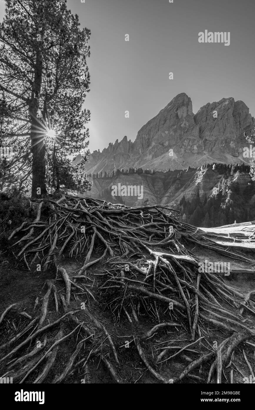 Peitlerkofel, Dolomiti bei San Martin De Tor, Südtirol, Italien Stockfoto