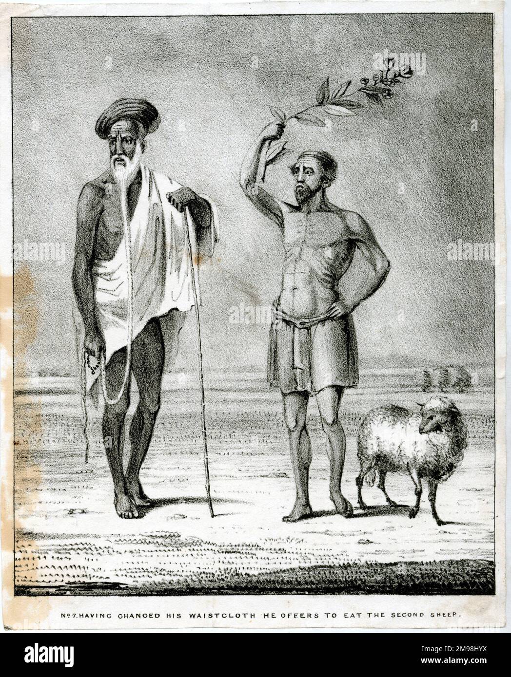 Der Schaffresser von Hindustan, Nr. 7, bietet nach dem Wechsel seiner Taille an, das zweite Schaf zu essen. Stockfoto