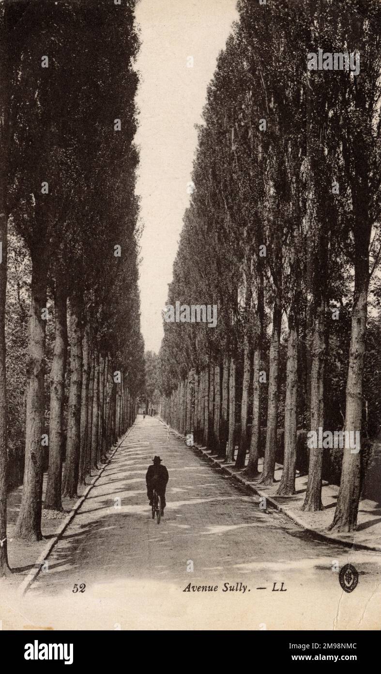 Die von Bäumen gesäumte Avenue Sully, irgendwo in Frankreich. Stockfoto