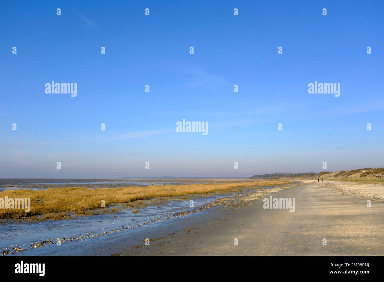 FRA, Frankreich, Le Crotoy, 14.12.2022: Spaziergaenger am weiten Strand in der Bucht der Somme in der Naehe des kleinen nordfranzoesischen Badeorts Le Stockfoto