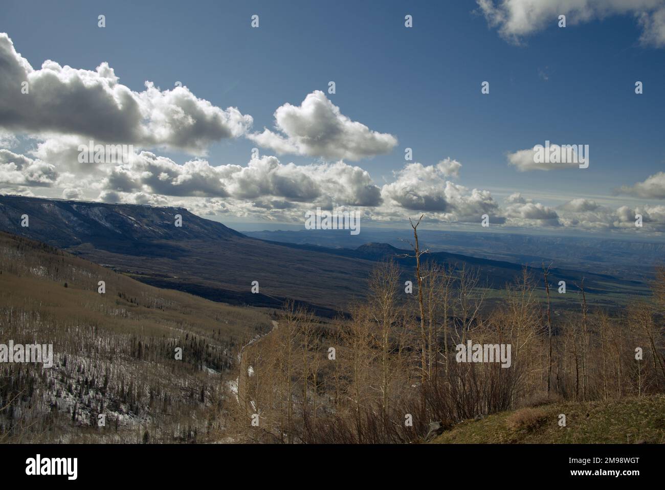 Blick über die Wälder auf Colorados Grand Mesa Stockfoto