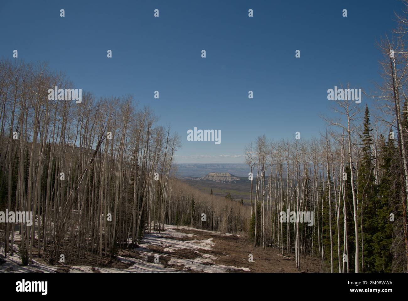 Blick vom Powderhorn Resort auf Colorados Grand Mesa im Frühling Stockfoto
