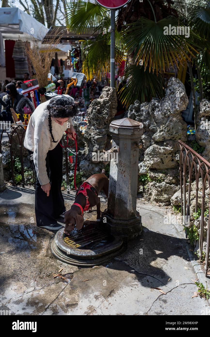 Siena, Italien - 12. April 2022: Einheimische Frau mit ihrem Hund, die auf dem wöchentlichen Siena-Markt in La Lizza aus dem Brunnen trinkt. Stockfoto