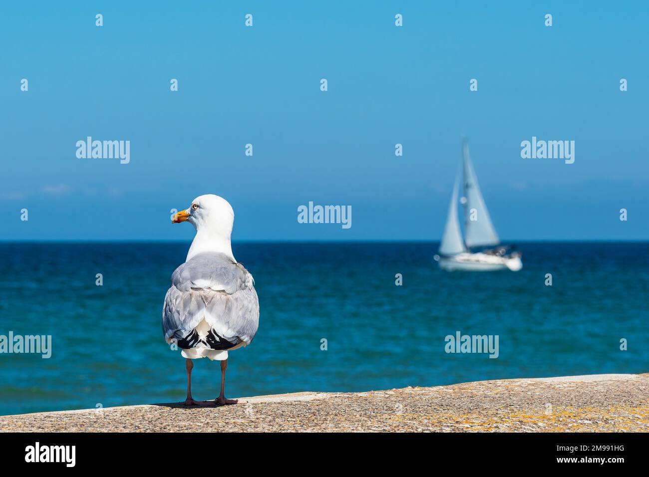 Seemann und Segelboot an der Ostseeküste in Warnemünde. Stockfoto