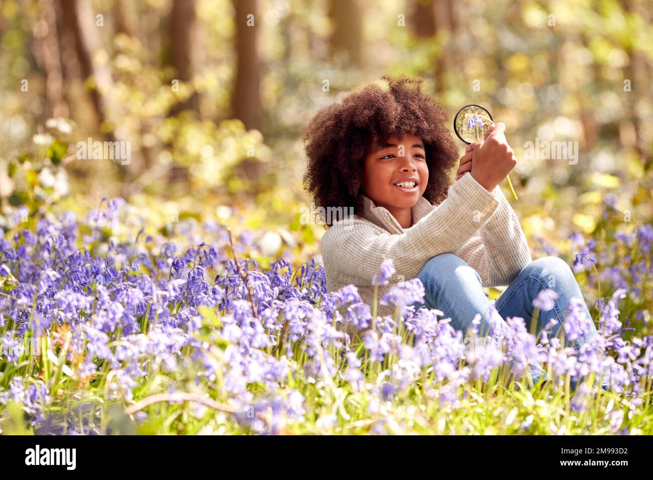 Ein Junge In Spring Woodlands, Der Bluebells Mit Vergrößerungsglas Untersucht Stockfoto