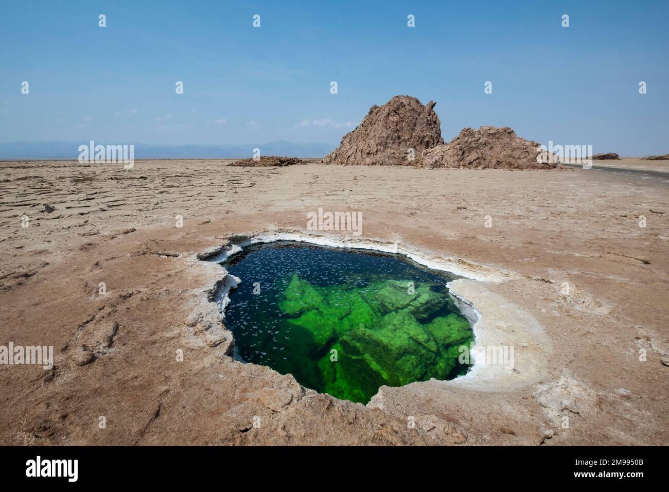 Salzebene mit salzhaltigem Teich und Salzfelsen, Danakil Depression in Äthiopien, Afrika. Stockfoto