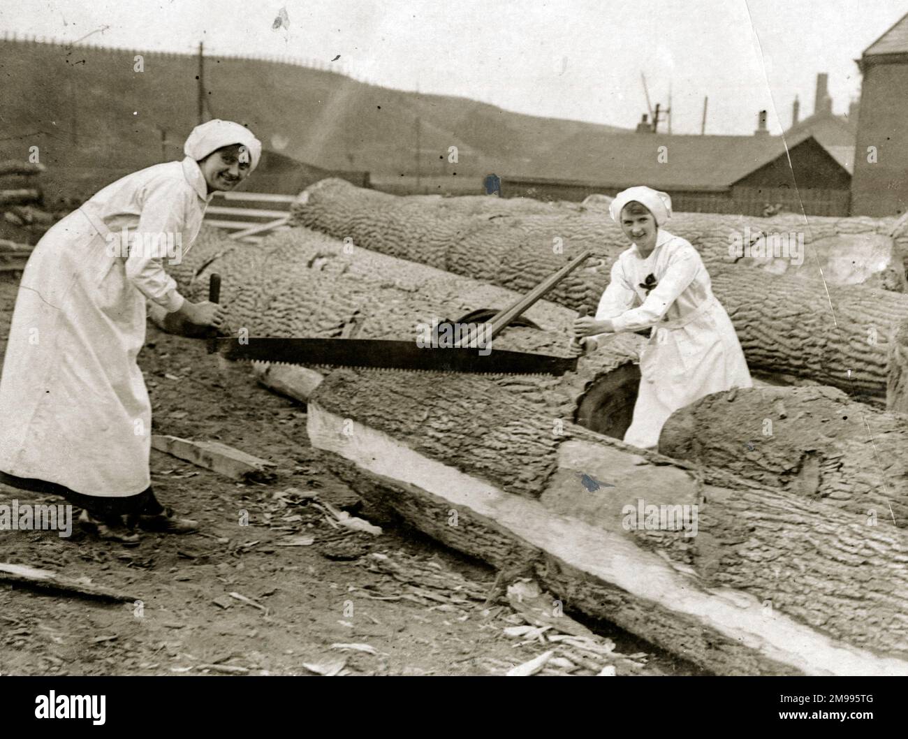 Holzfäller-Frauen, die im Ersten Weltkrieg Bäume sägen. Stockfoto