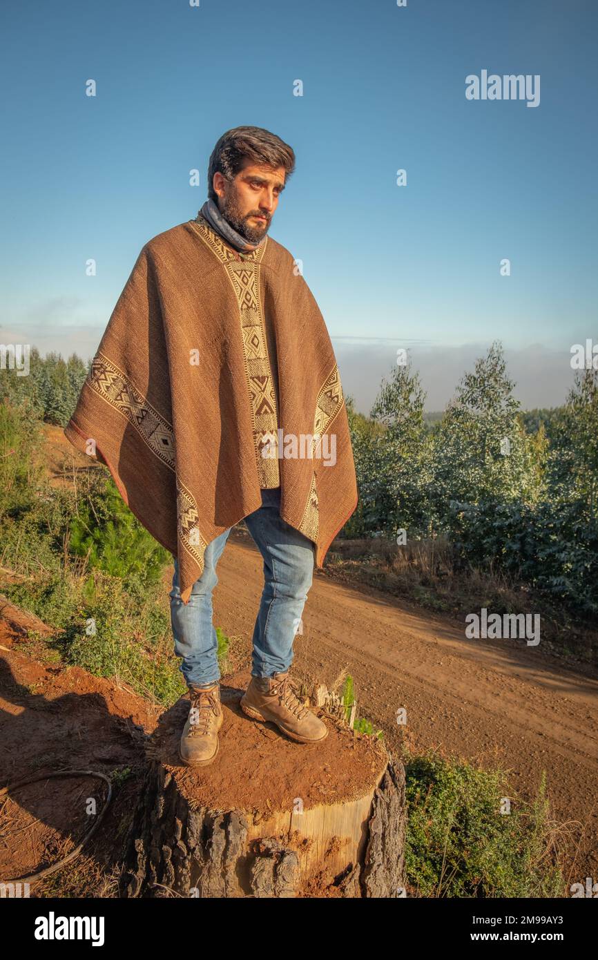 Ein chilenischer Mann mit Blick über den chilenischen Wald und braunem Chamanto, der die WRC-Rallye von Chile von einem Baumstumpf aus beobachtet. Niedrige Sonne, blauer Himmel Stockfoto