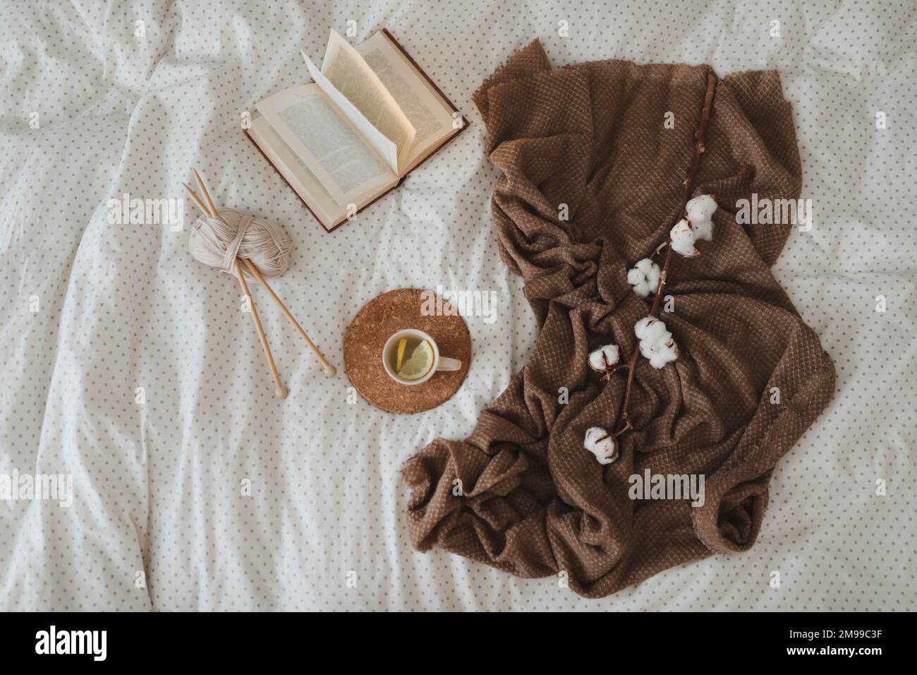 Gemütlicher Winterhintergrund mit Buch, Teetasse und Stricknadeln in warmer weicher Bettdecke. Süßes Zuhause. Stockfoto