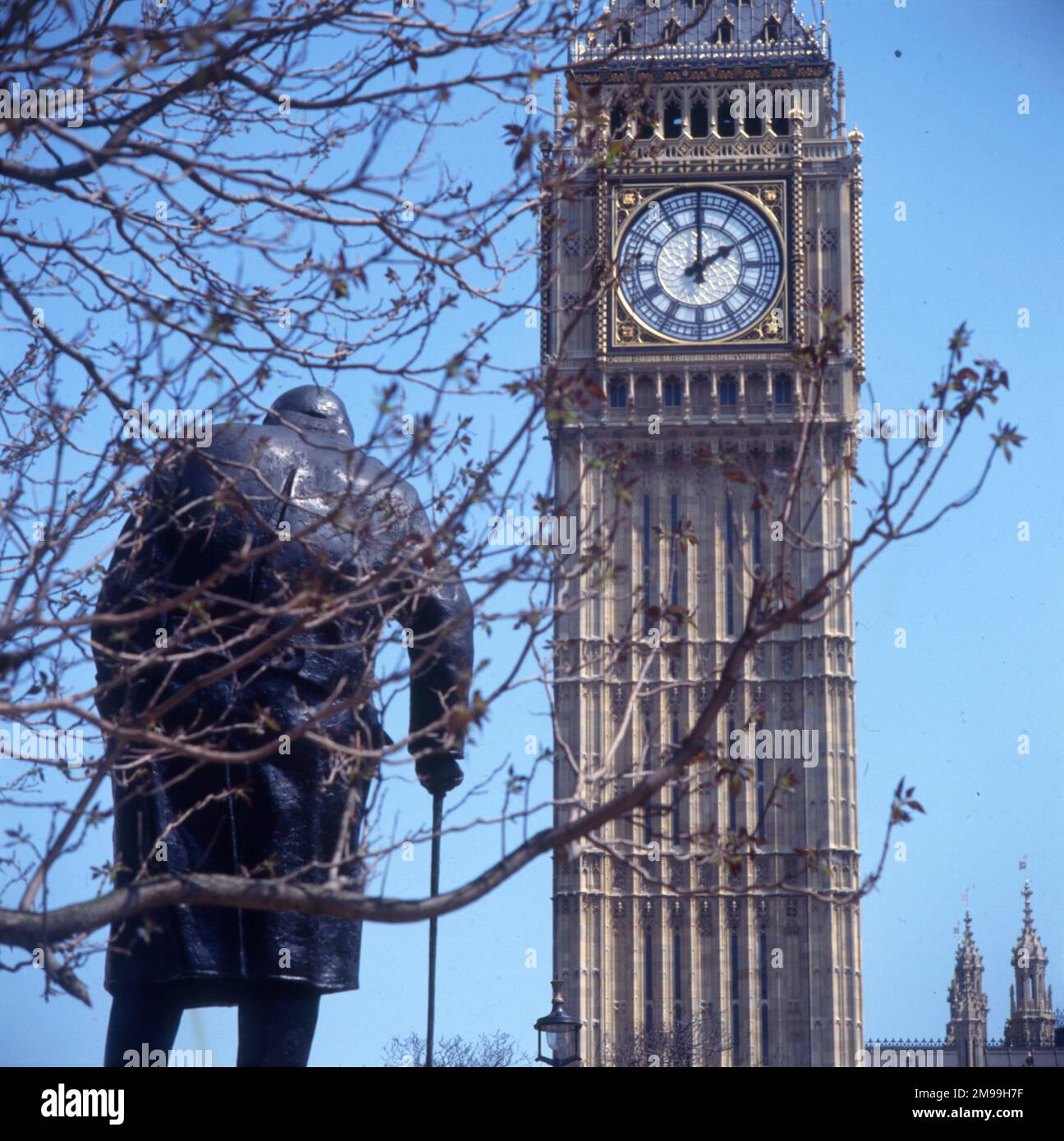 Statue von Winston Churchill - Parliament Square mit Blick auf Big Ben. Stockfoto
