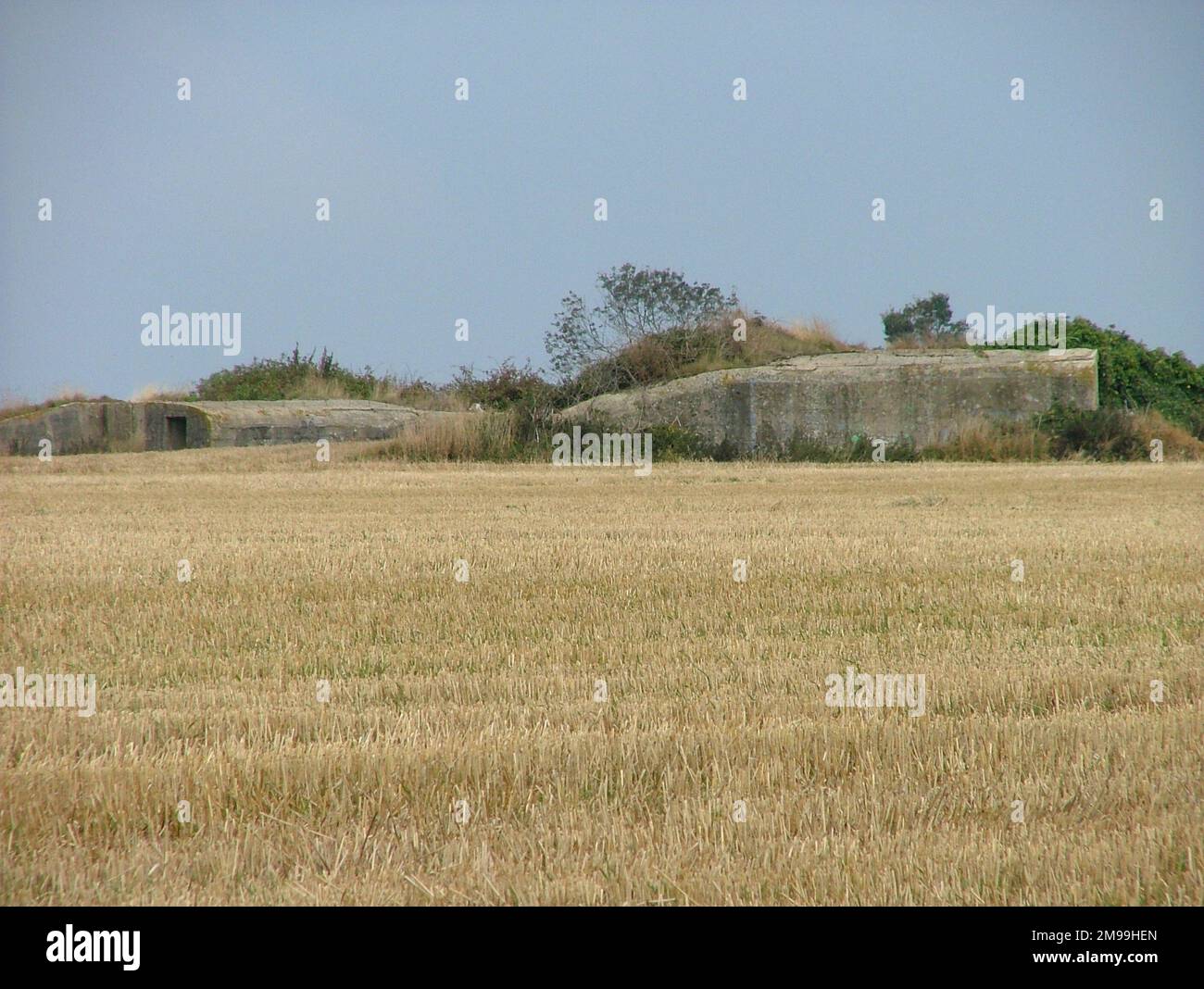 Dies war nicht nur eine Radarstation, sondern eine große Verteidigungsposition mit Bunkern, Stacheldraht und Minenfeldern, da sie auf hohem Boden lag. Die Bunker sind oft durch Ernten verdeckt. Es war von etwa 200 Luftwaffe besetzt. Stockfoto