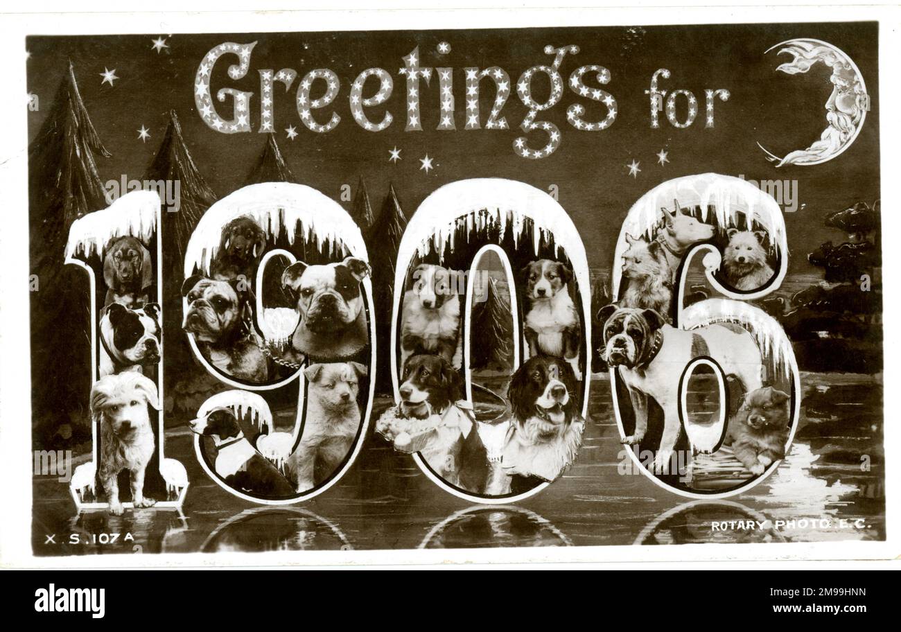 Grüße für 1906 - Hunde. Stockfoto
