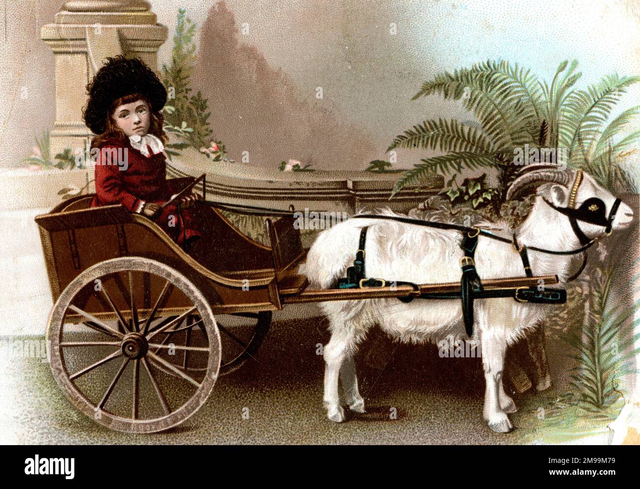 Viktorianisches Mädchen in einem Ziegenkarren. Stockfoto
