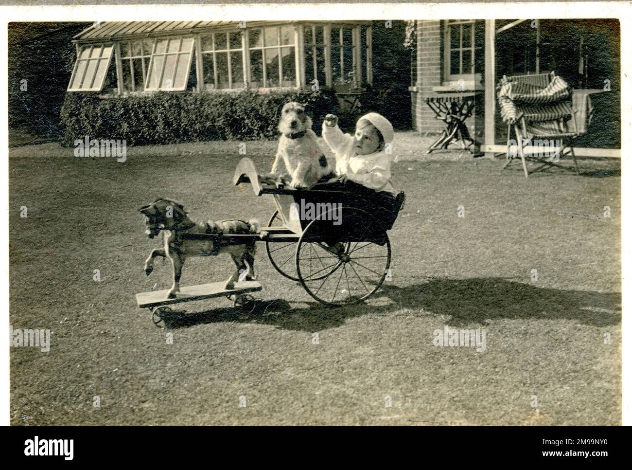 Baby und Jack Russell Terrier-Hund in einem Karren, der von einem Spielzeugpferd gezogen wird. Stockfoto