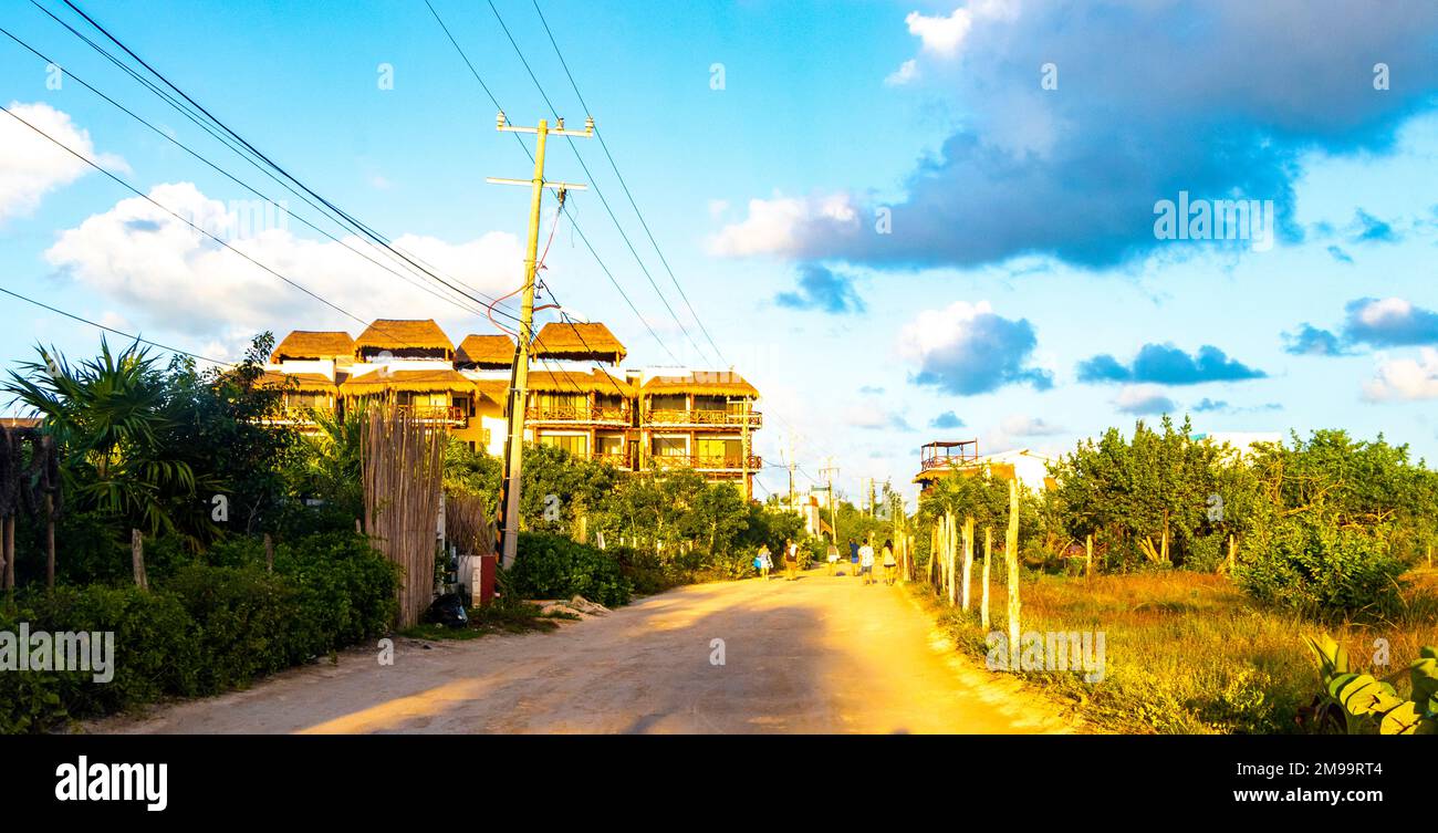 Sandiger schlammiger Wanderweg und Landschaftsblick mit tropischer Natur auf der wunderschönen Holbox Insel in Quintana Roo Mexiko. Stockfoto