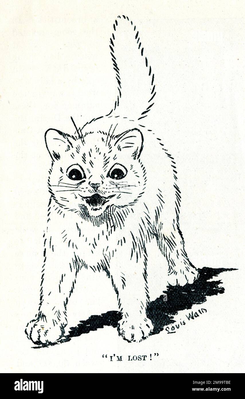 Louis Wain Komikatze - Ich habe mich verlaufen. Stockfoto